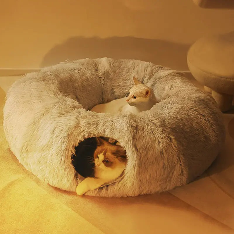 Cat Mat & Cat Beds