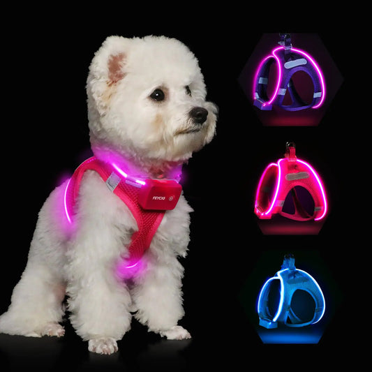 Light Up Dog HarnessLED Dog Harness Rechargeable Lighted Dog Vest Harness