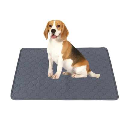 Paw Paradise-Dog Pee Pad