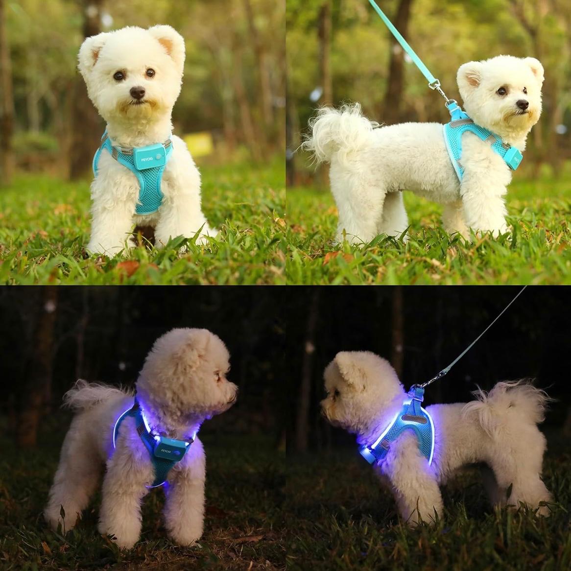 Light Up Dog HarnessLED Dog Harness Rechargeable Lighted Dog Vest Harness