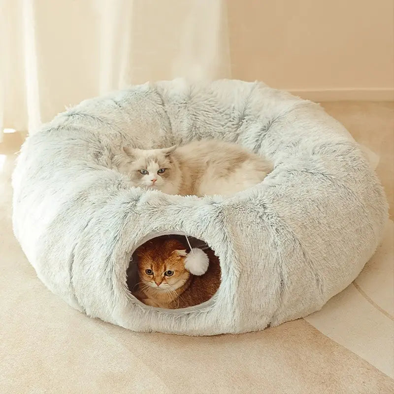 Pawtenda 2-in-1 Cat Tunnel Bed – A Cozy Playtime Paradise for Your Cat