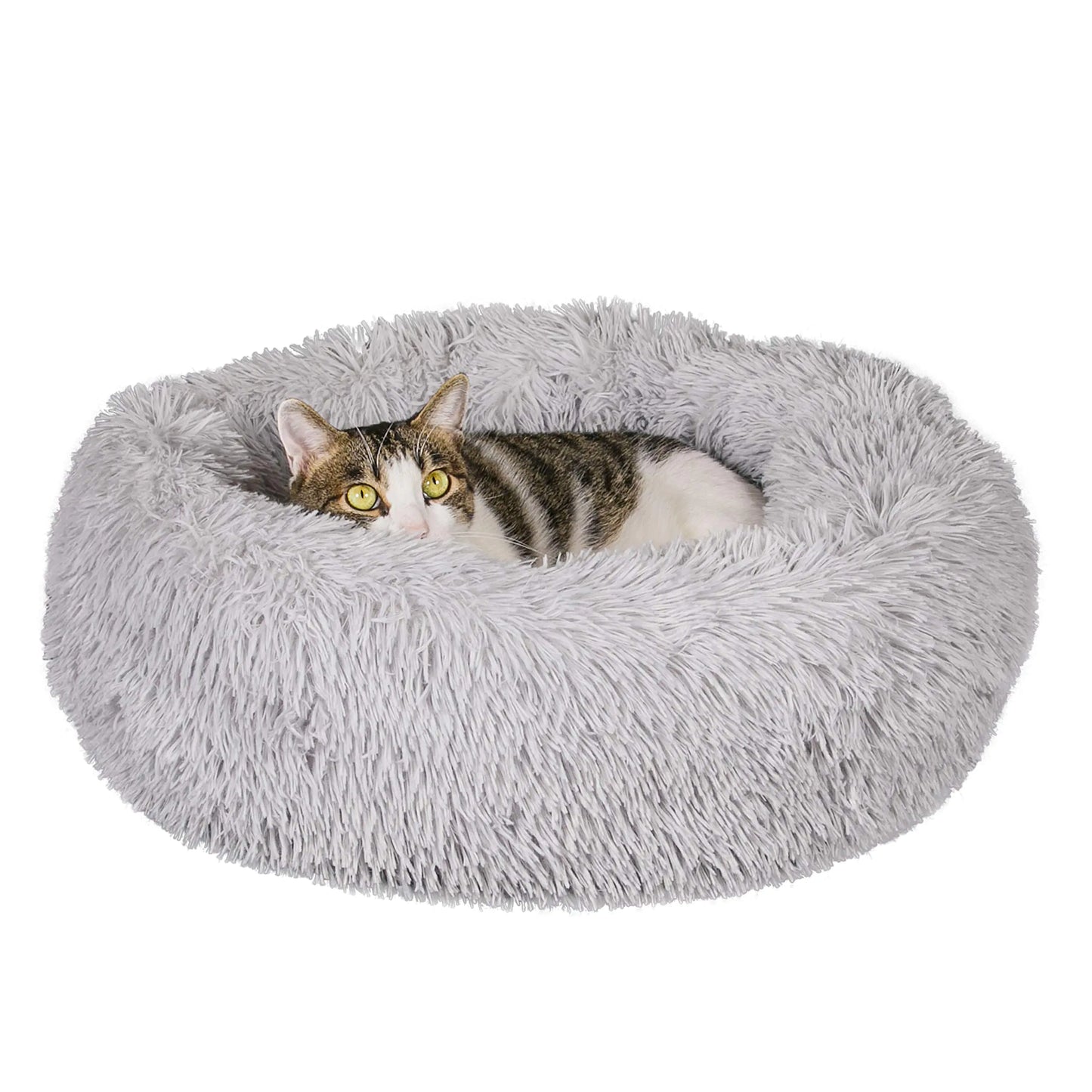 Qucey Calming Cat Bed